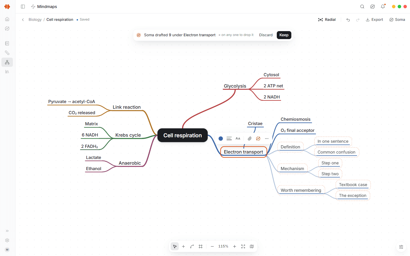 A wide crop of a Mnemo mind map of cell respiration with colored branches