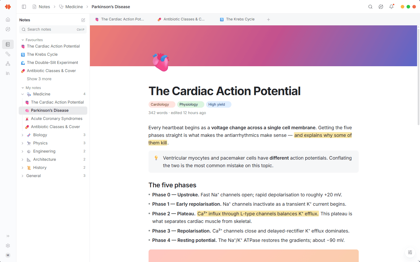 The Mnemo desktop app showing the block based notes editor with a note on Parkinson's disease