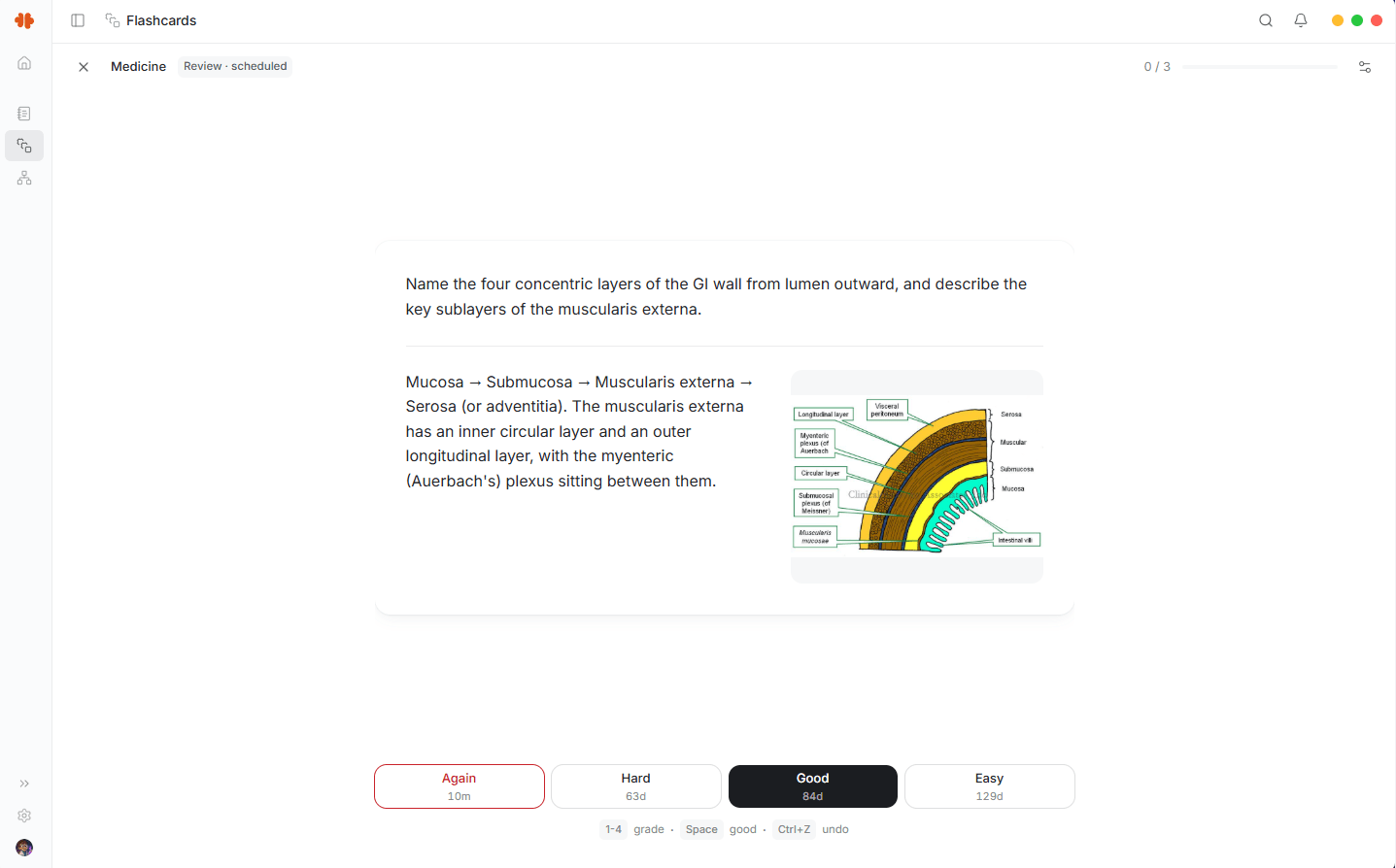 A Mnemo review session with a medicine flashcard, its illustrated answer, and the Again, Hard, Good, and Easy controls